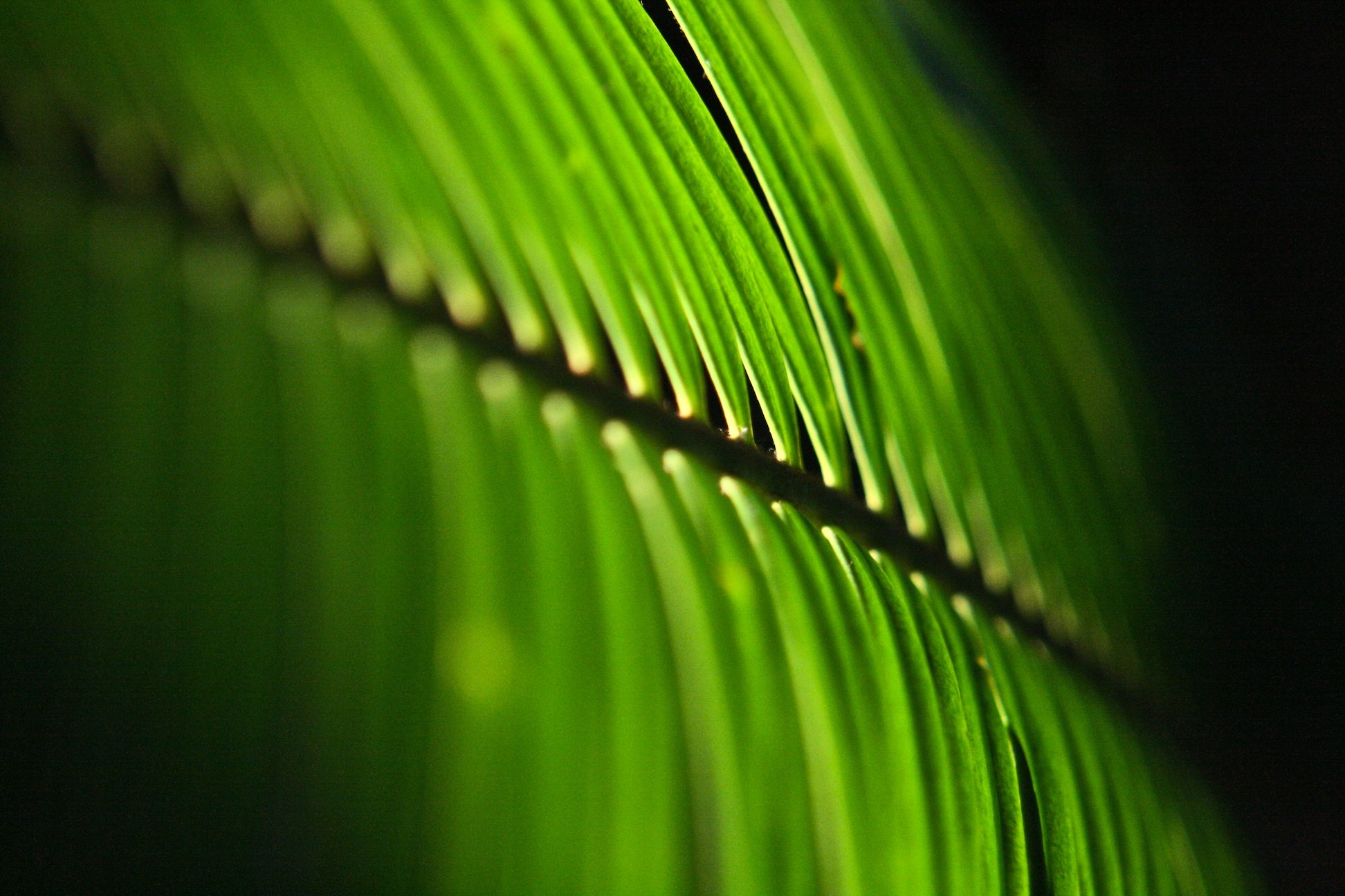 Guidance by Scope 3 Category