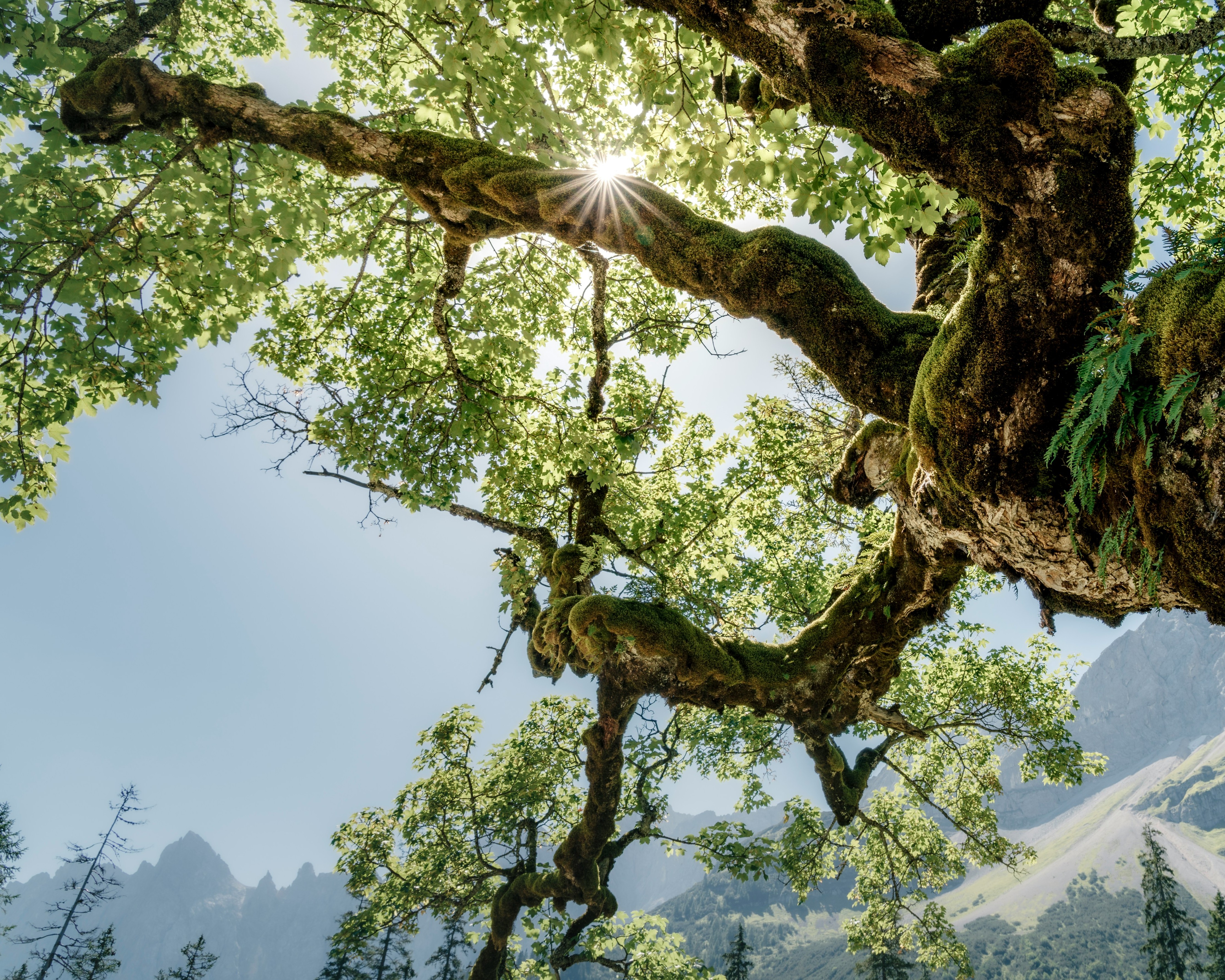 ISO-GHG Protocol partnership FAQ