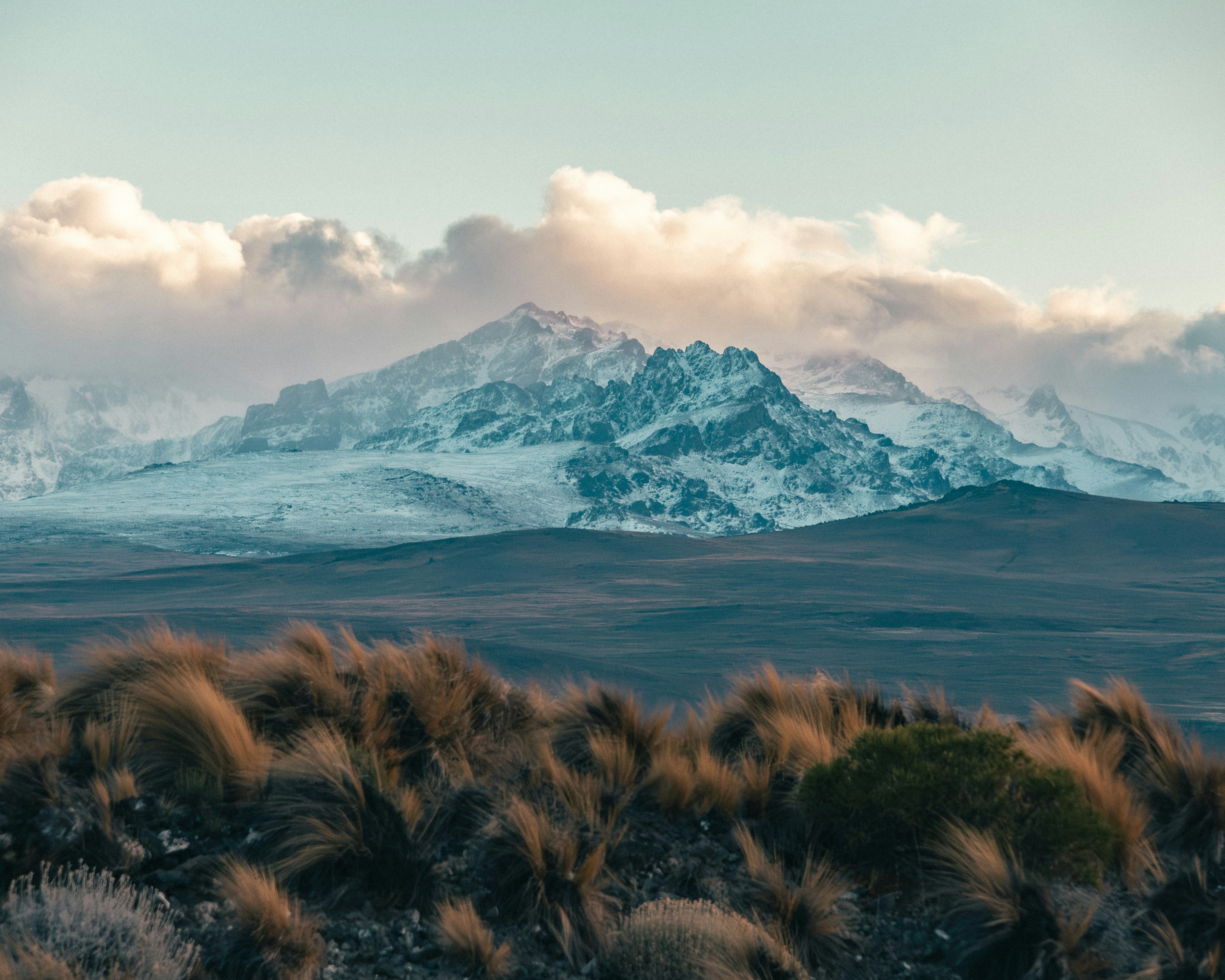 GHGP July Newsletter 